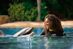 Swim with a dolphin at Discovery Cove Orlando