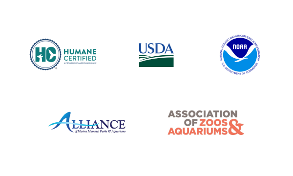Logos of SeaWorld's accreditation partners: Humane Certified, USDA, NOAA, Alliance, and Association of Zoos and Aquariums
