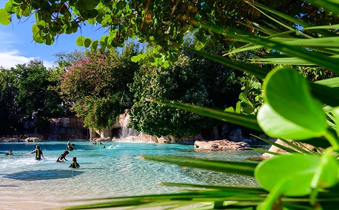 35 Acres of Tropical Oasis at Discovery Cove in Orlando Florida