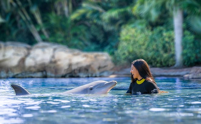Swim with dolphins at Discovery Cove Orlando