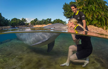 What Does All-Inclusive Mean at Discovery Cove Orlando?