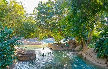 35 Acres of Tropical Oasis at Discovery Cove in Orlando Florida