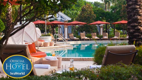 Renassiance Orlando at SeaWorld Pool Area